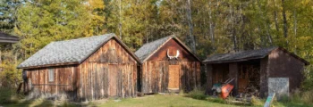 1981–1988 – Modern Amenities